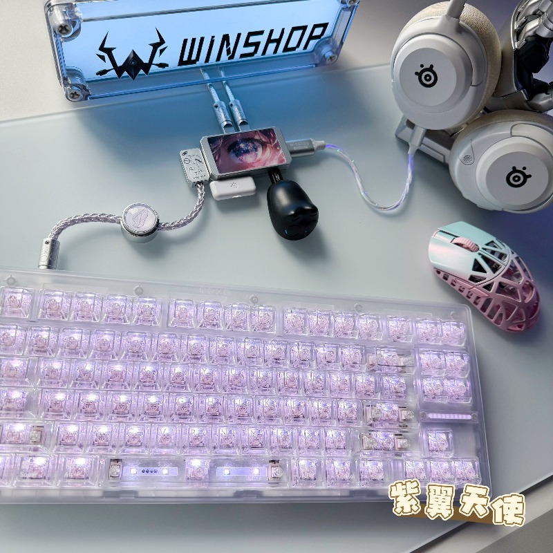 WINSHOP Esports HUB Dual-In 4- - Desk Setup Usb Hub recension och pris